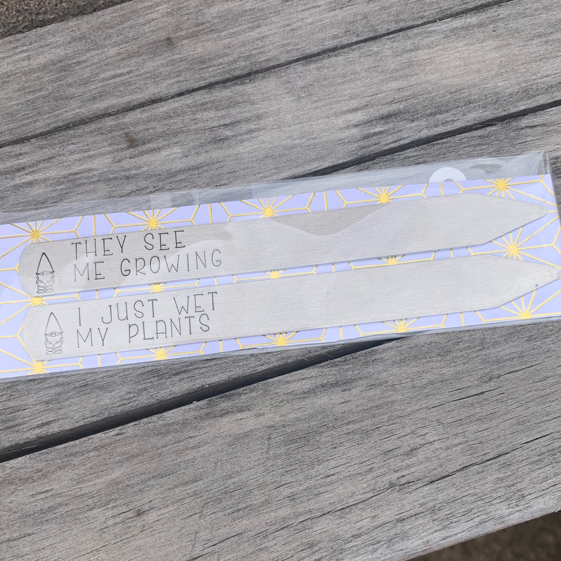Plant stakes- set of 2