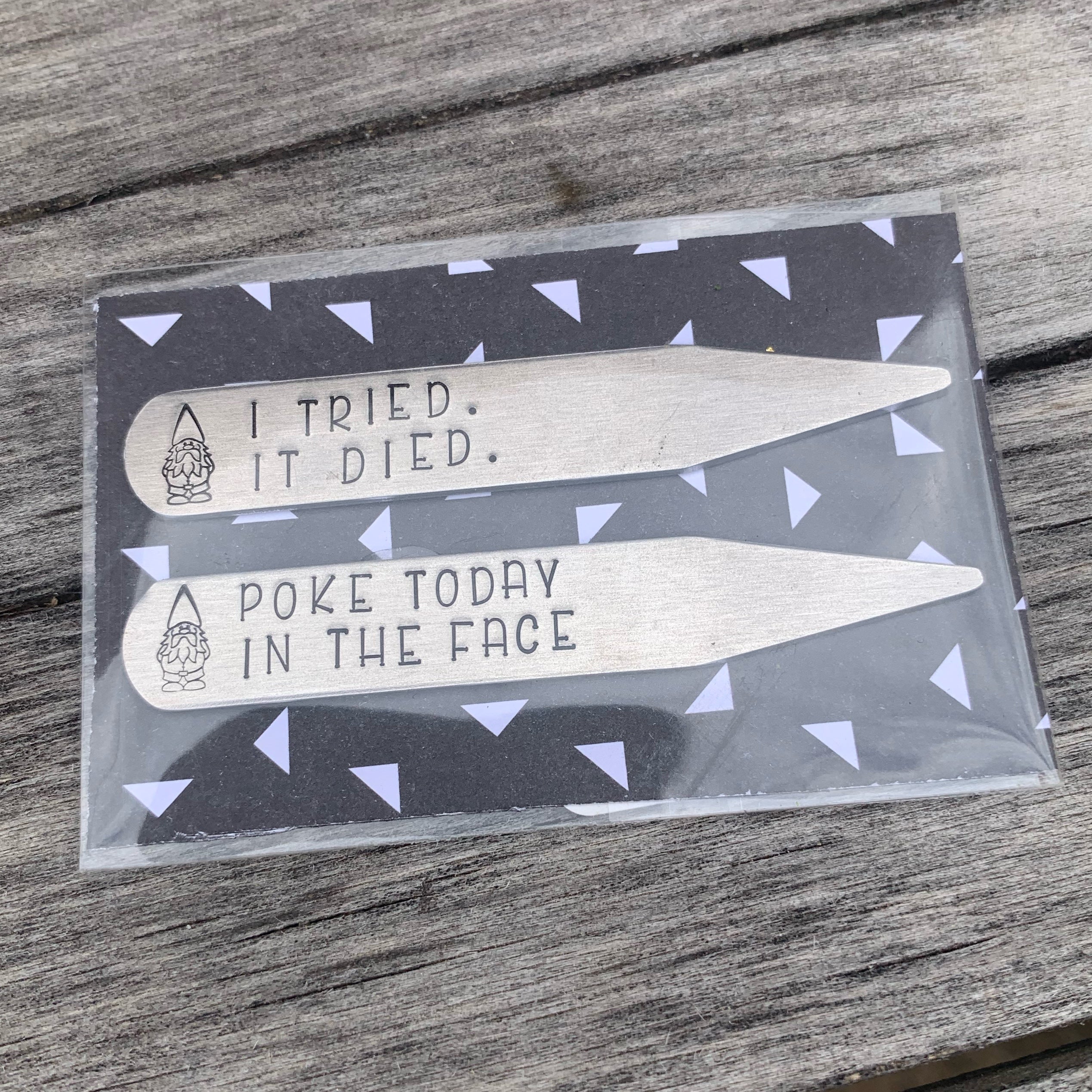 Succulent stakes - set of 2