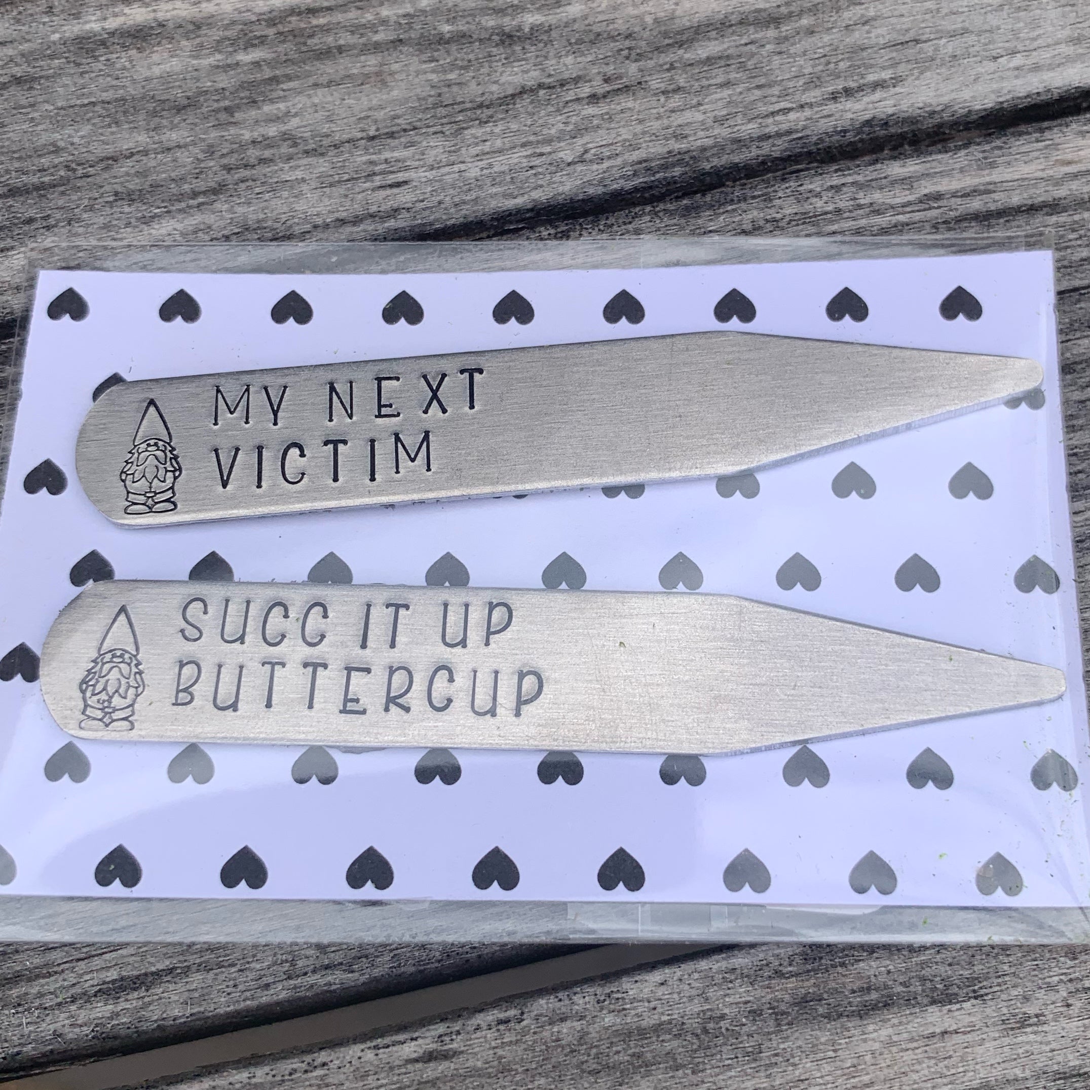 Succulent stakes - set of 2