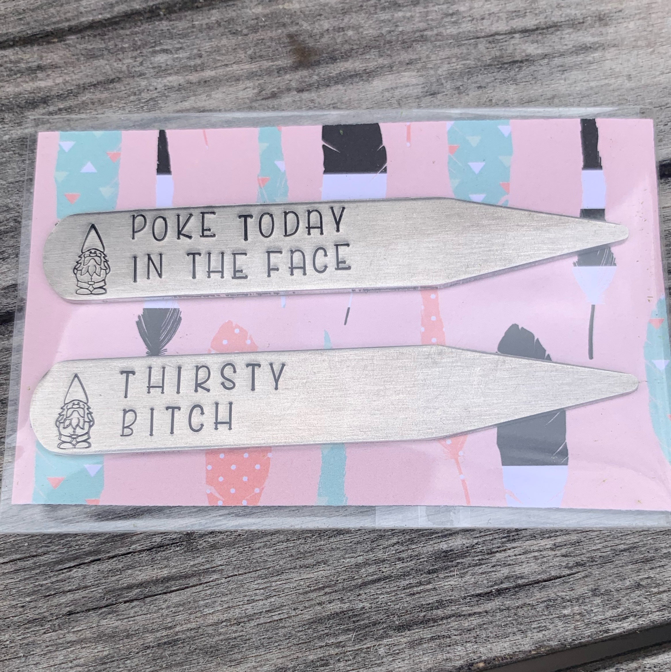 Succulent stakes - set of 2