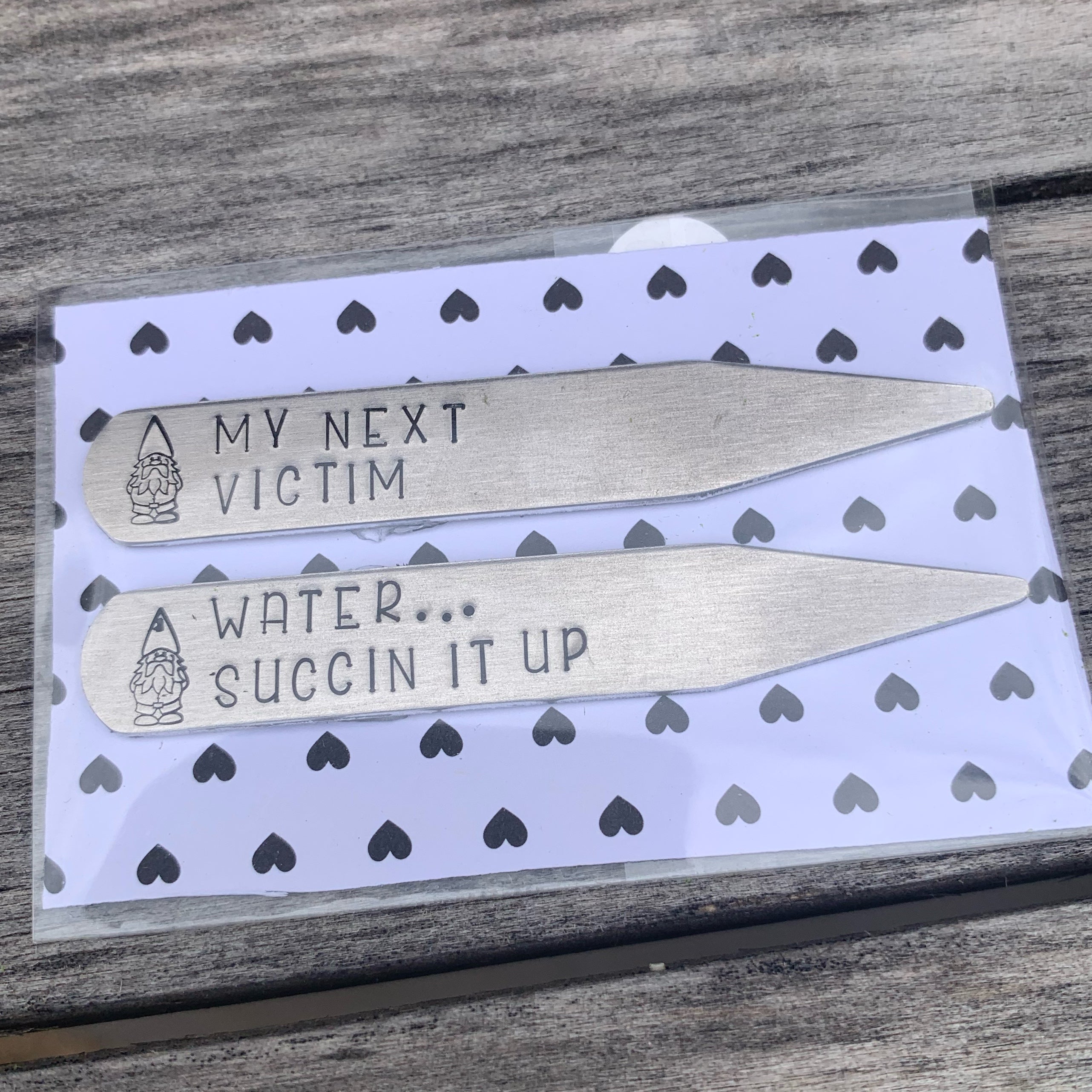 Succulent stakes - set of 2