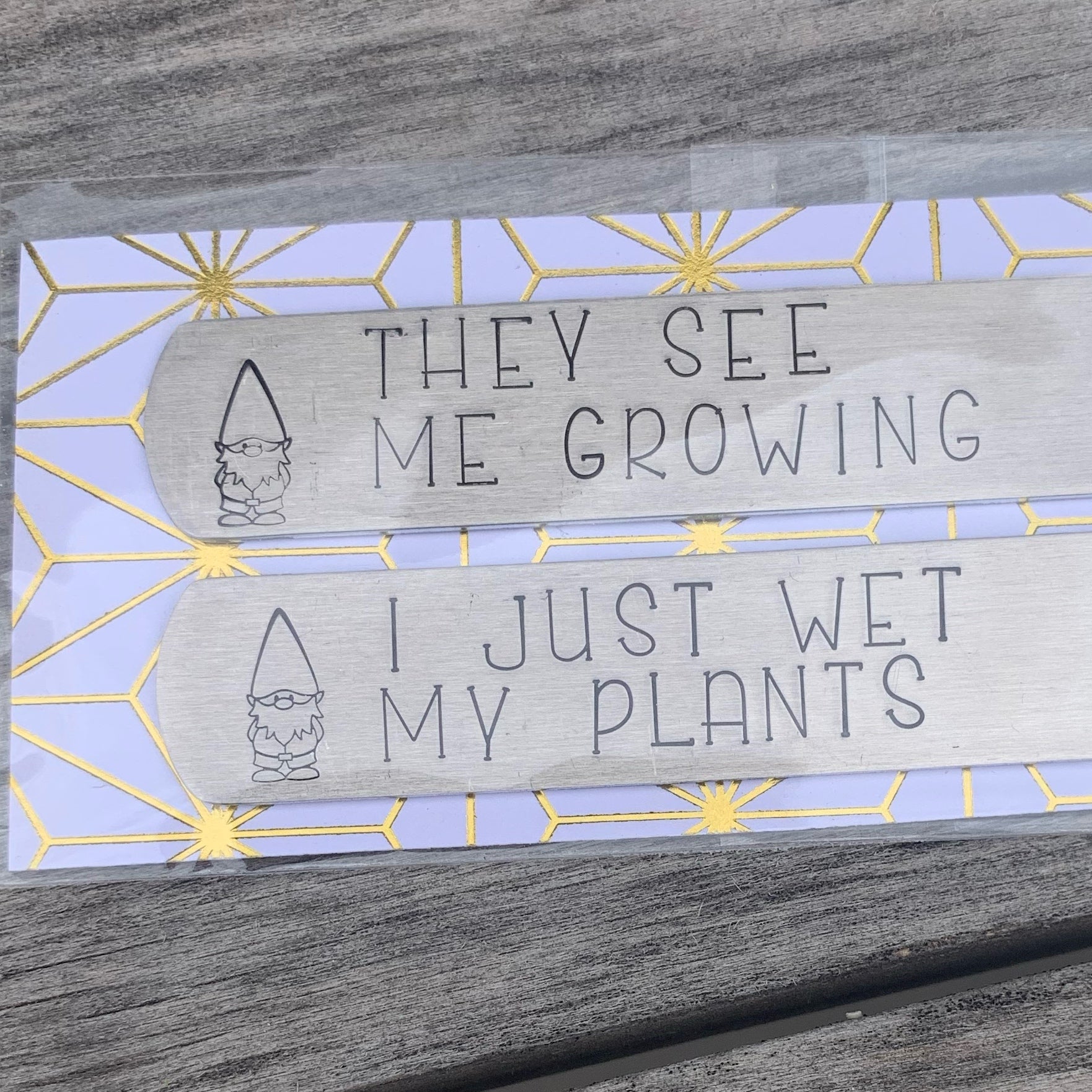 Plant stakes- set of 2