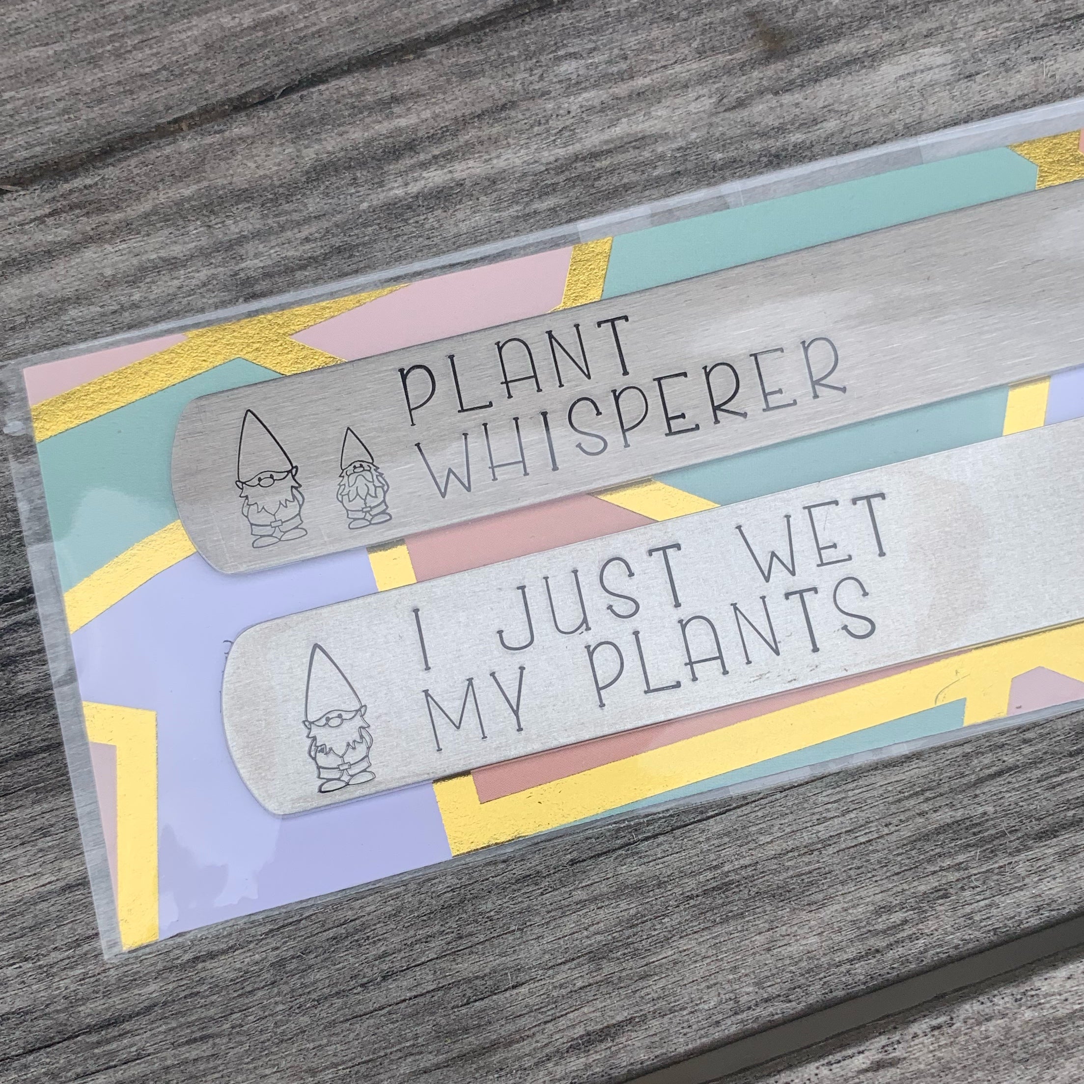 Plant stakes- set of 2