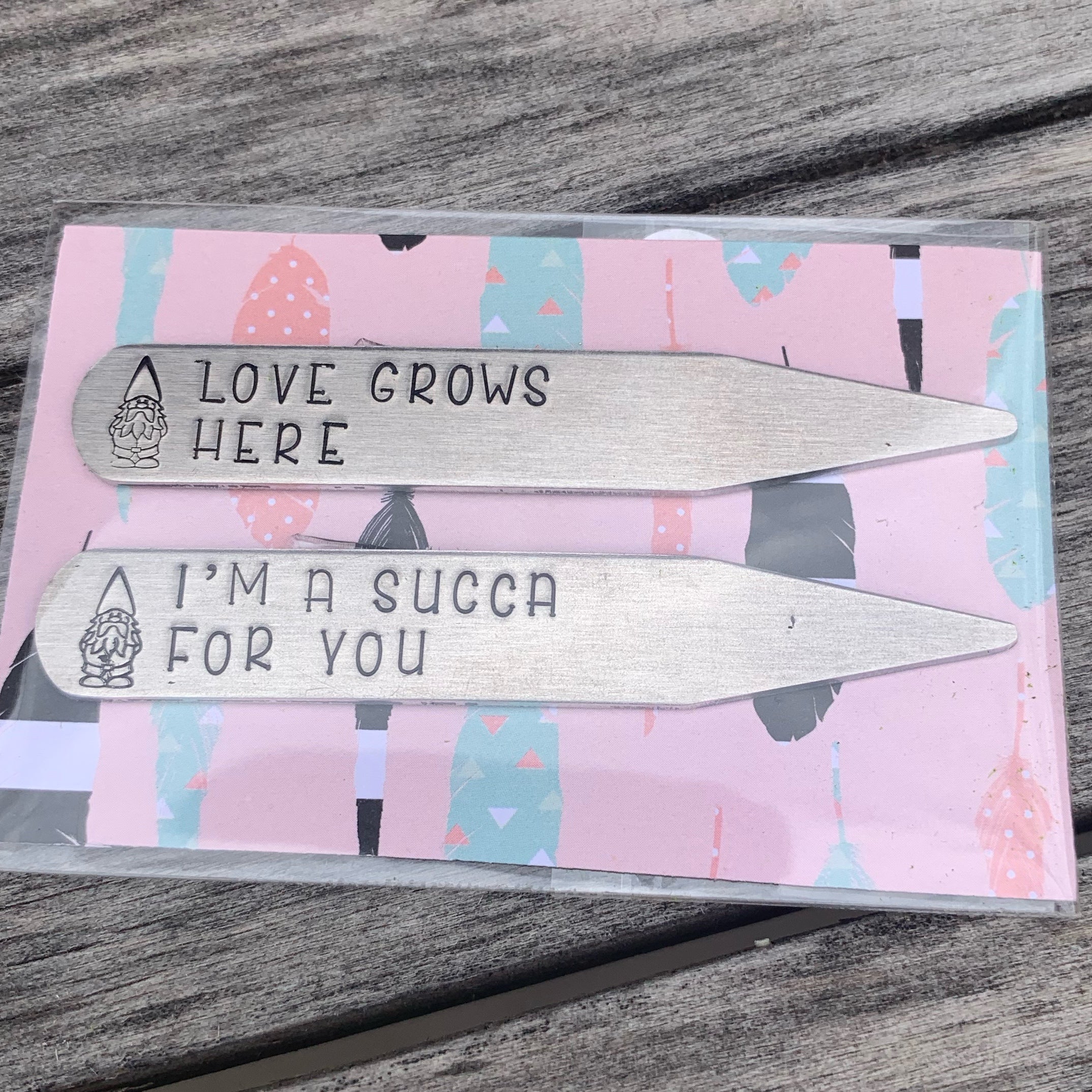 Succulent stakes - set of 2