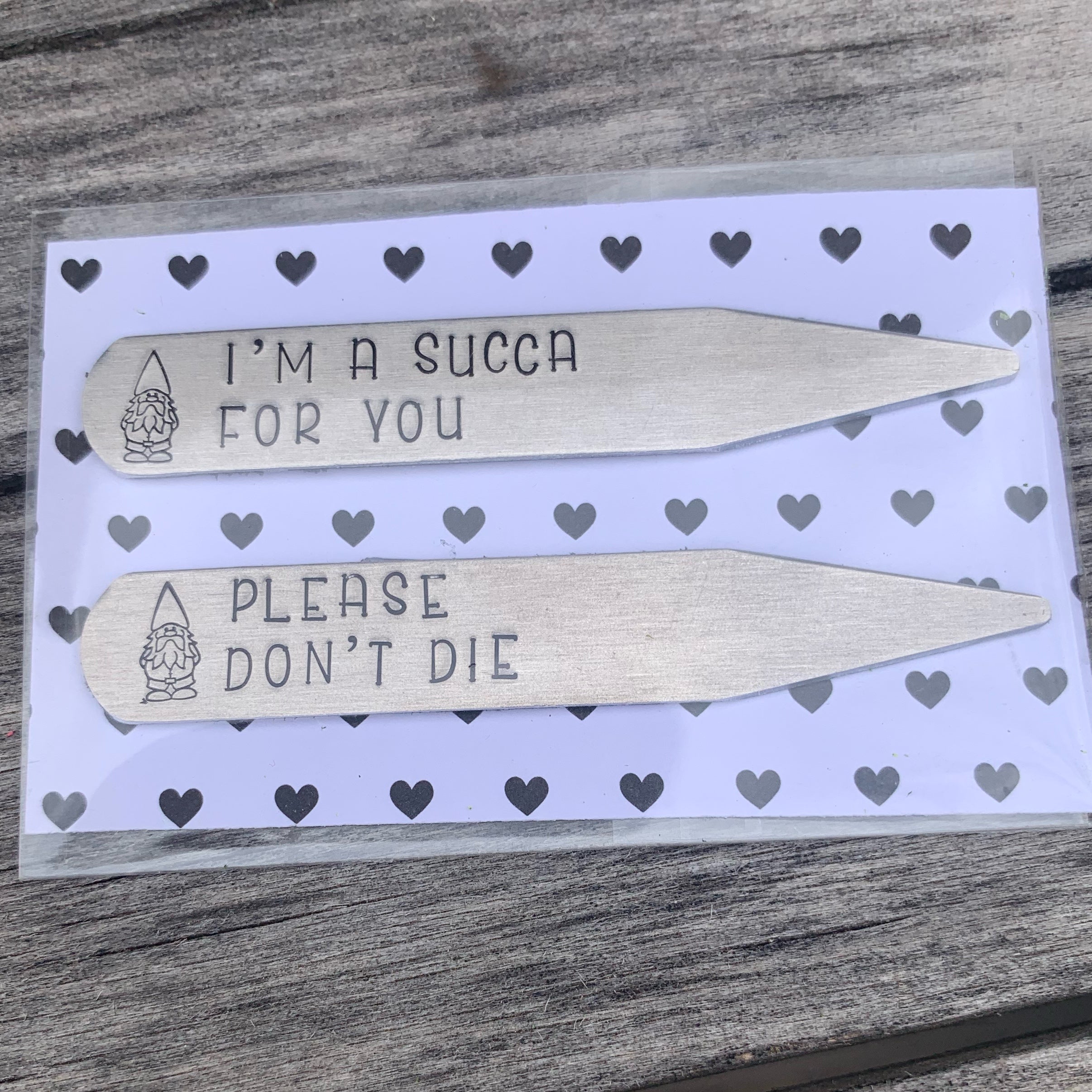 Succulent stakes - set of 2