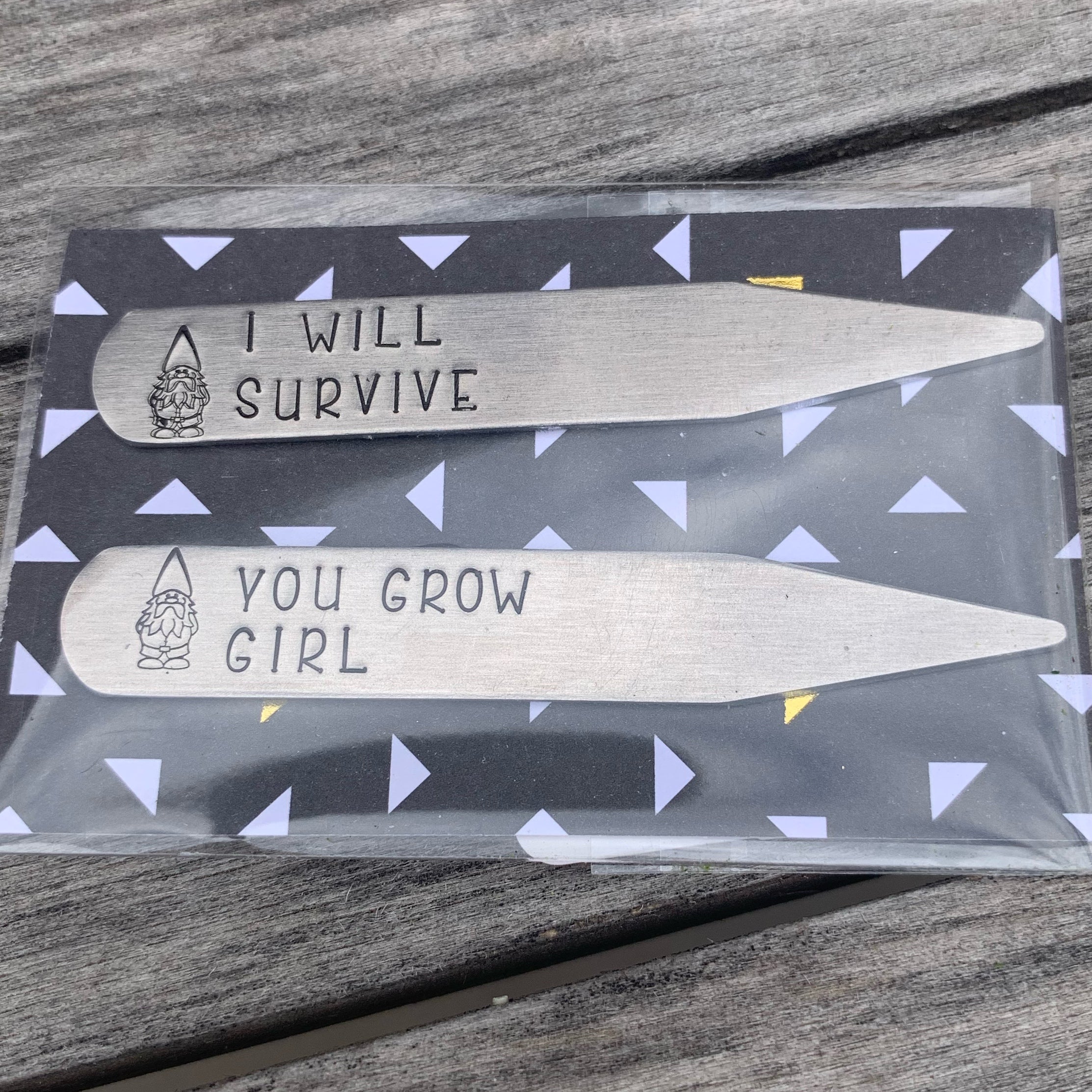 Succulent stakes - set of 2