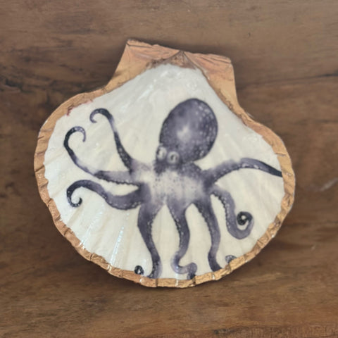 Shell Dish-octopus