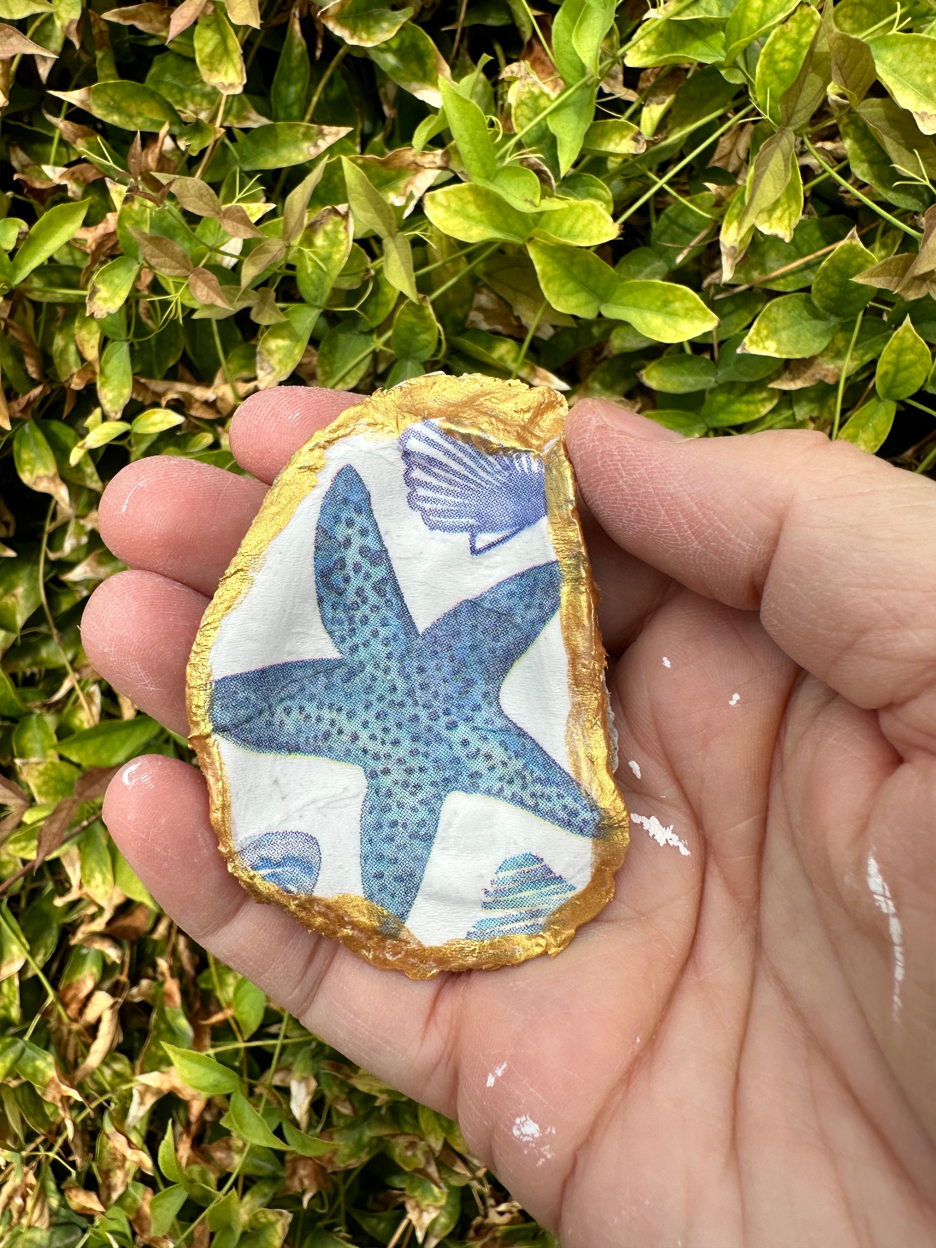 Oyster Shell Decor/Ring Dish
